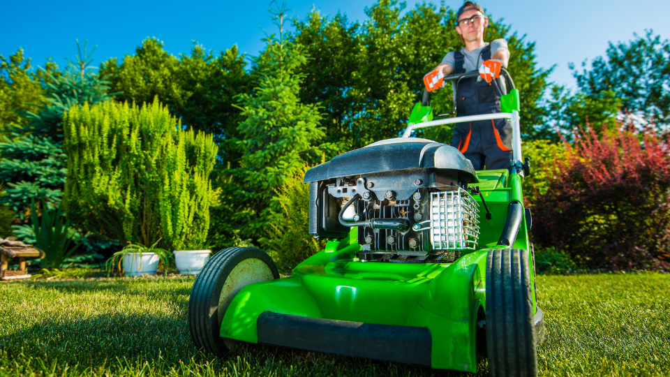 Winter Lawn Care Like a Pro